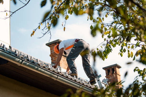 Best Roofing Contractor Near Me  in James City, NC