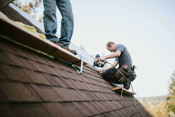 Best Storm Damage Roof Repair  in James City, NC